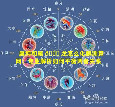 属狗和属 🐛 龙怎么化解测算网：专业解析如何平衡两者关系